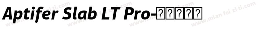 Aptifer Slab LT Pro字体转换
